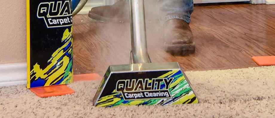 Carpet steam cleaning service